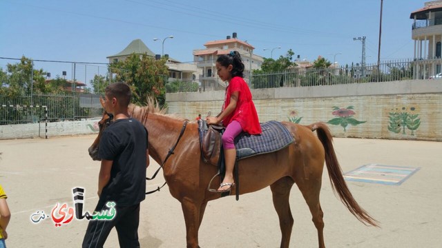 كفرقاسم - فيديو  : تعليم هواية ركوب الخيل في مدرسة جنة ابن رشد في اليوم الرابع لصيف الصادقة 